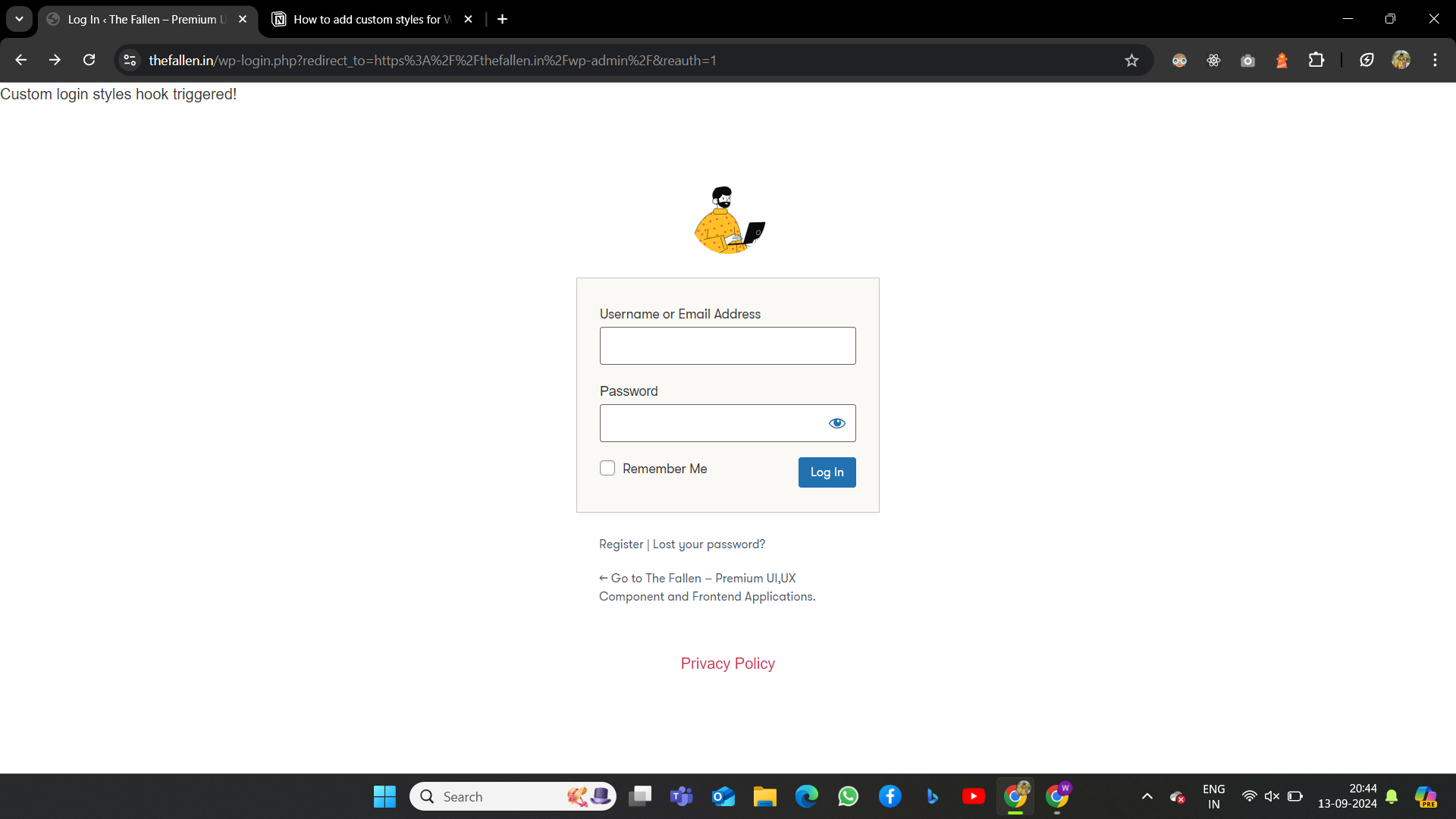 How to add custom styles for WP Login/Registration page